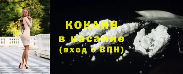 гидра Горняк