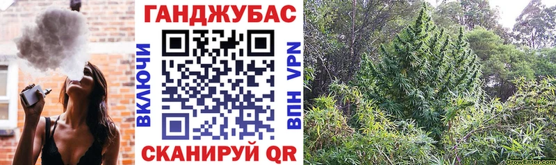 darknet телеграм Тетюши Бошки марихуана THC 21%